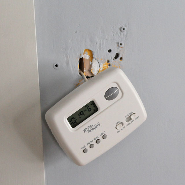 122713-nest02