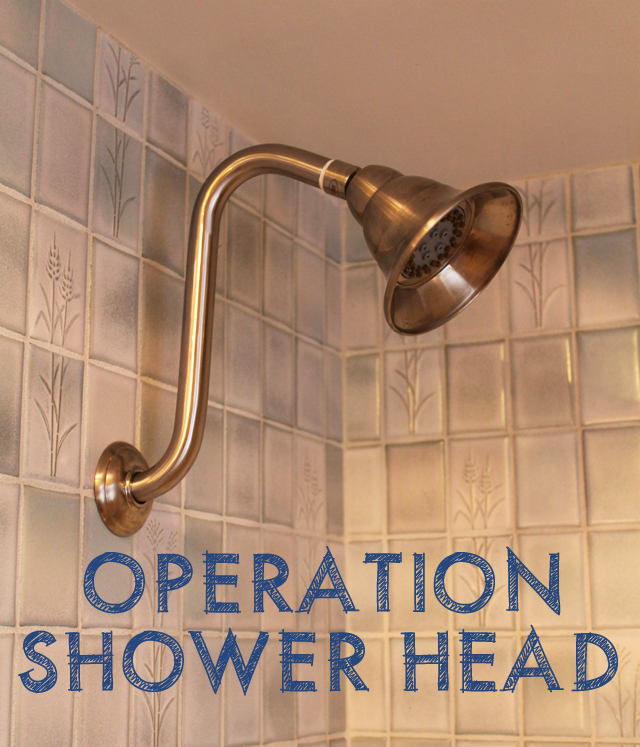 shower-head1