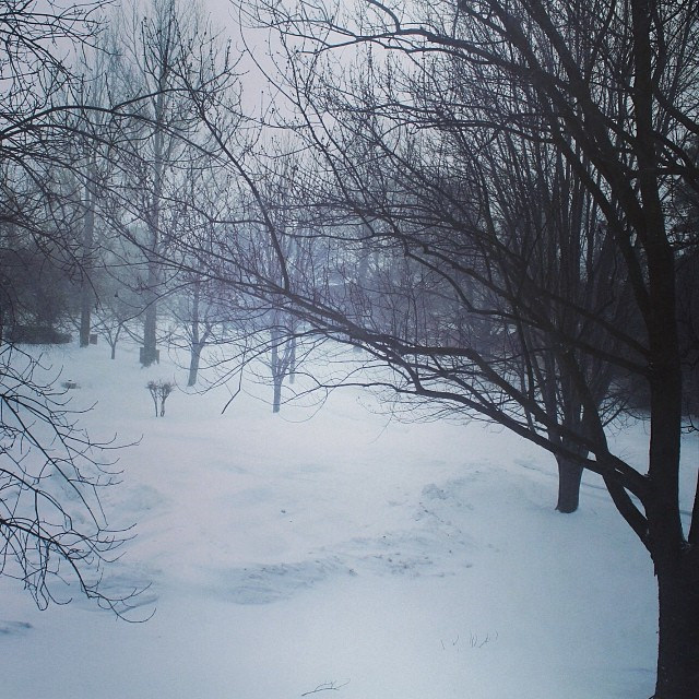 blizzard02
