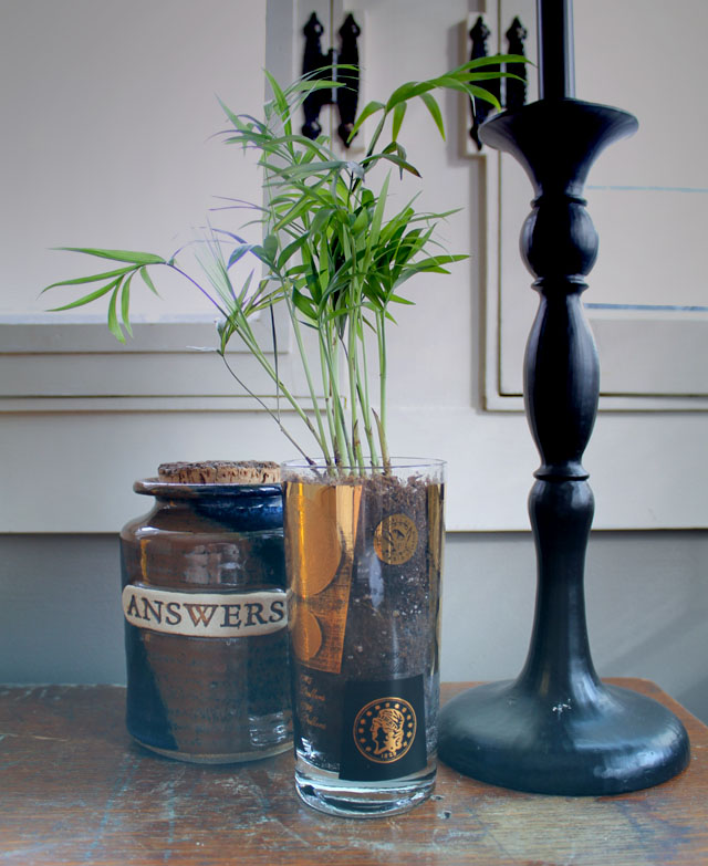 031814-vintage-glasses4