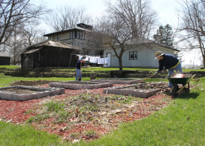 cleaning and prepping the garden