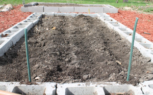 cover the potatoes in a mound of dirt