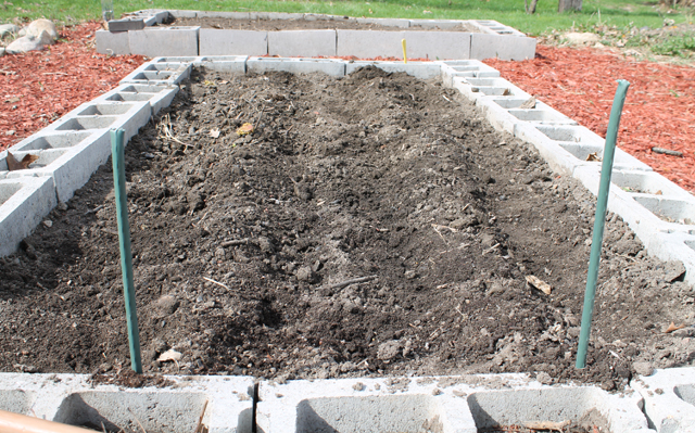 cover the potatoes in a mound of dirt