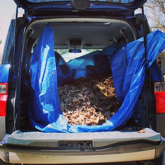 Our Honda Element prepped for collecting leaves
