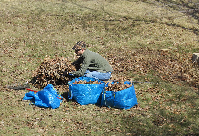 IKEA bags are perfecting for collecting yard waste