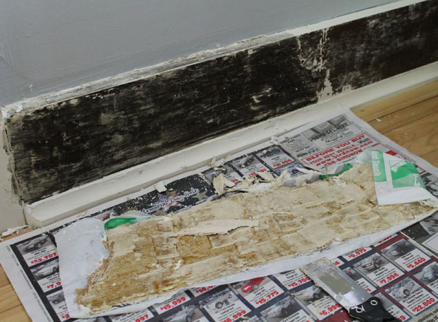 Testing Dumond Peel Away paint remover on wood trim