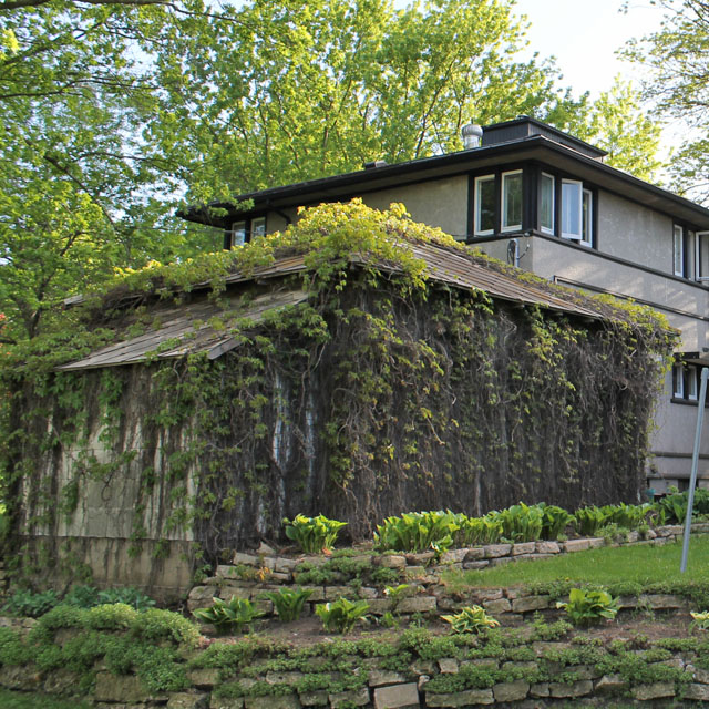 This American House