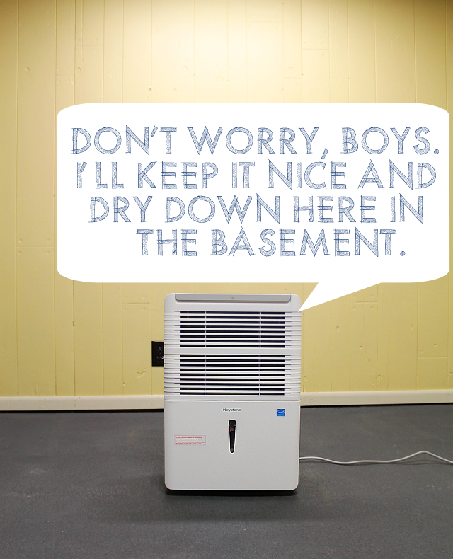 How a Dehumidifier and Shop Vac Became Our New Favorite Things