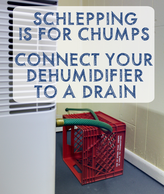 Schlepping Sloshing Water Buckets is for Chumps! Connect Your Dehumidifier to a Drain | This American House