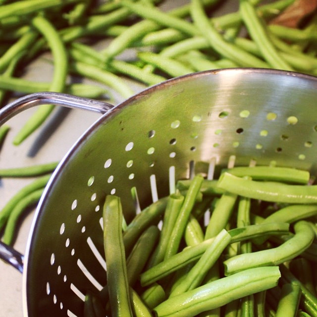 How to Freeze Fresh Green Beans | This American House