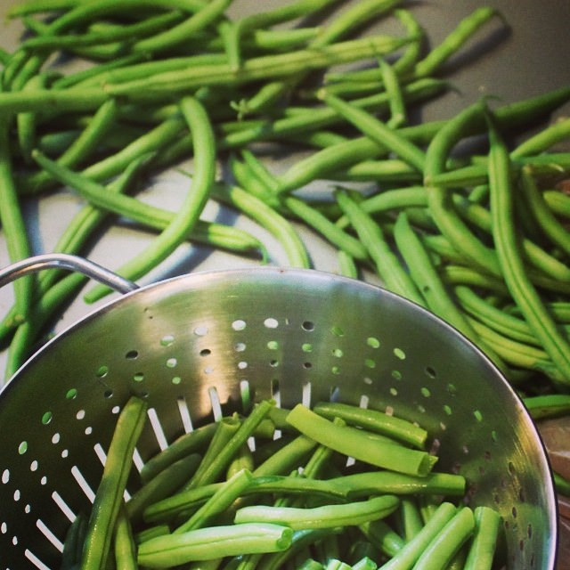 How to Freeze Green Beans | This American House