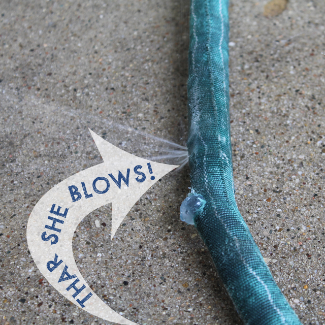 Thar She Blows! Our Pocket Hose Sprang a Leak | This American House