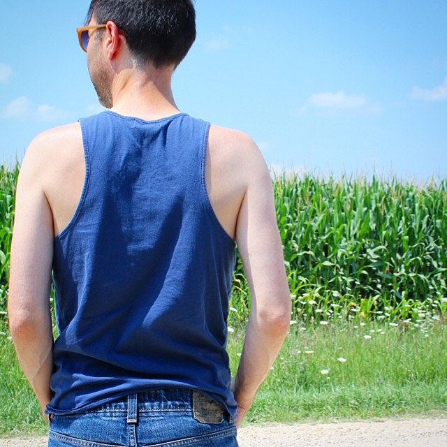 Corn fields of Iowa | This American House