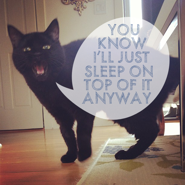 Zola Jones' Take on the FLW Cathouse | This American House