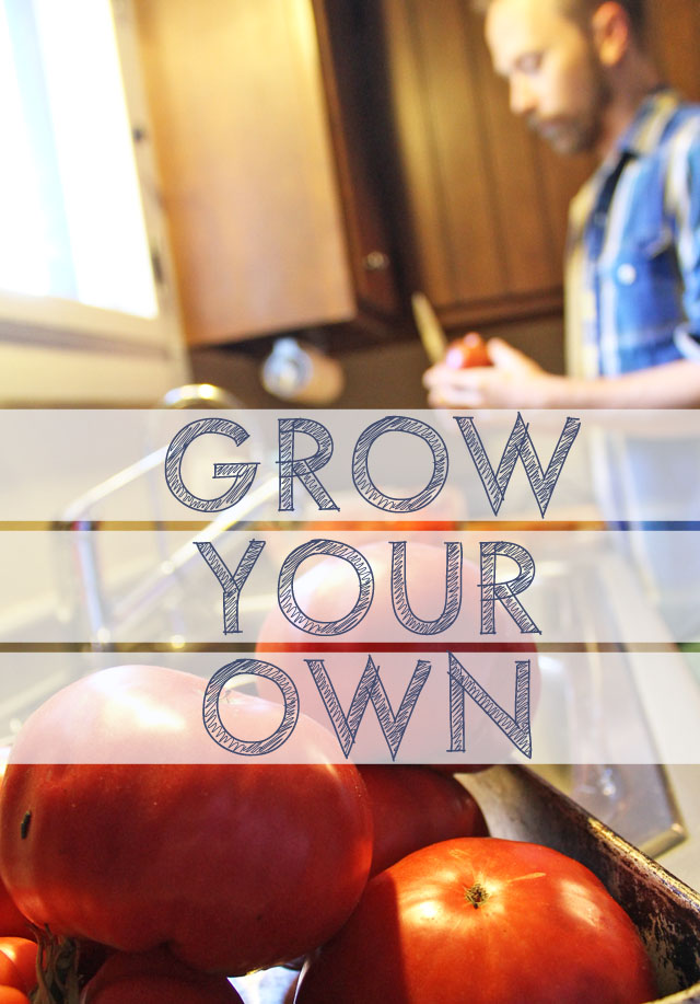 5 Lessons from Our First Garden | This American House