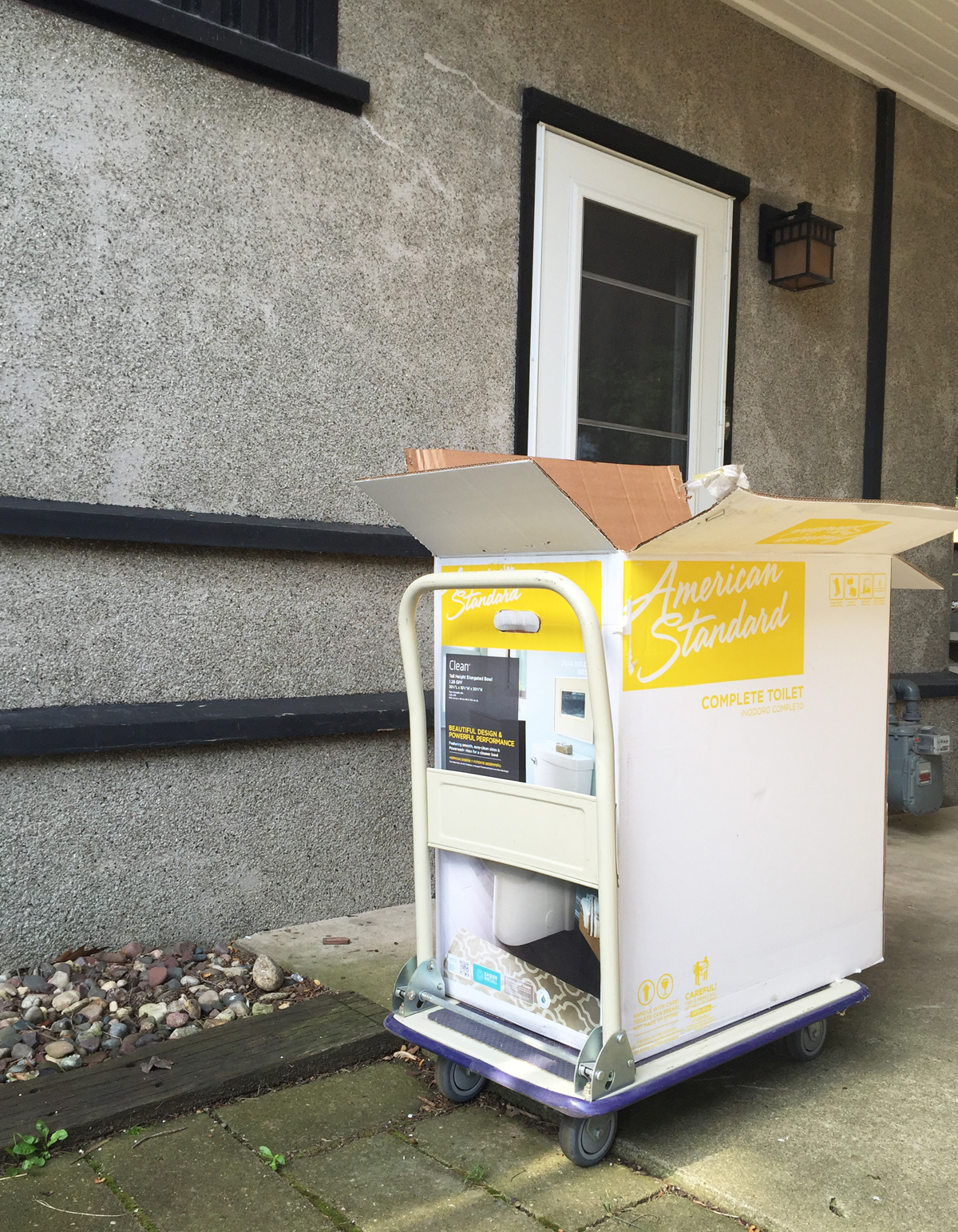 New American Standard Clean Toilet