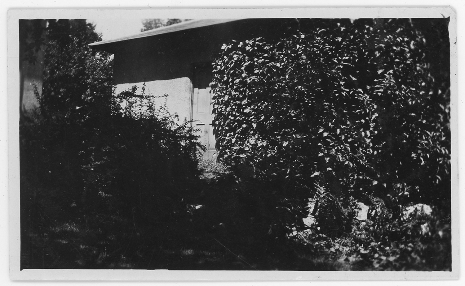 Virginia creeper on the garage of the Delbert Meier house in 1923