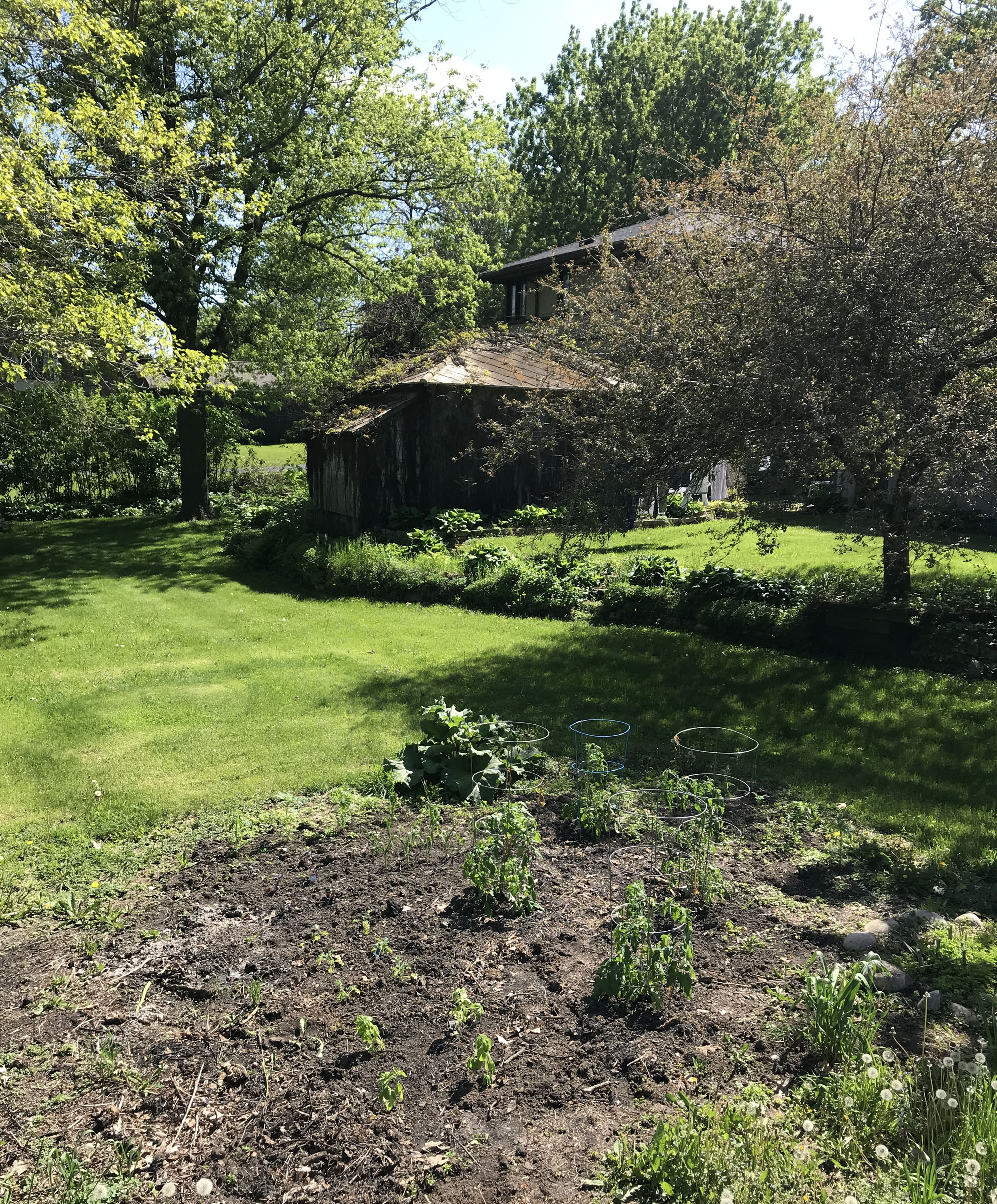 gardening at an American System-Built