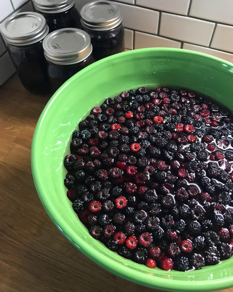Fresh raspberries floating in a bowl